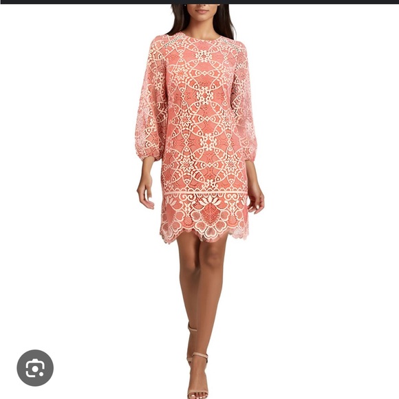 Vince Camuto Coral Lace Dress - Picture 1 of 9